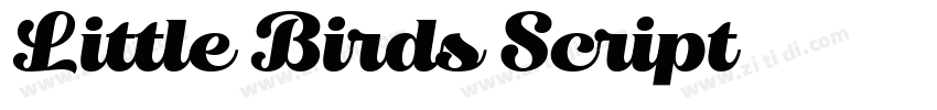Little Birds Script字体转换
